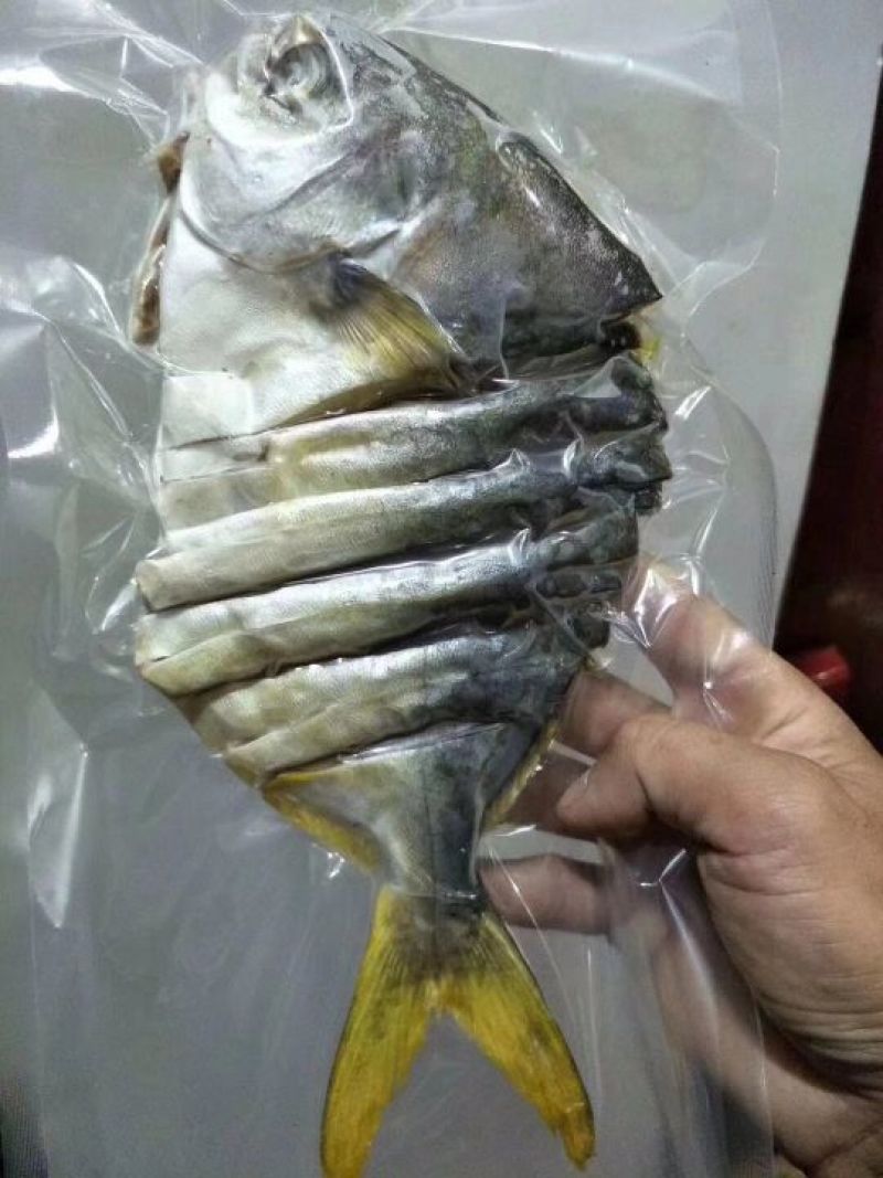 金鲳鱼食用