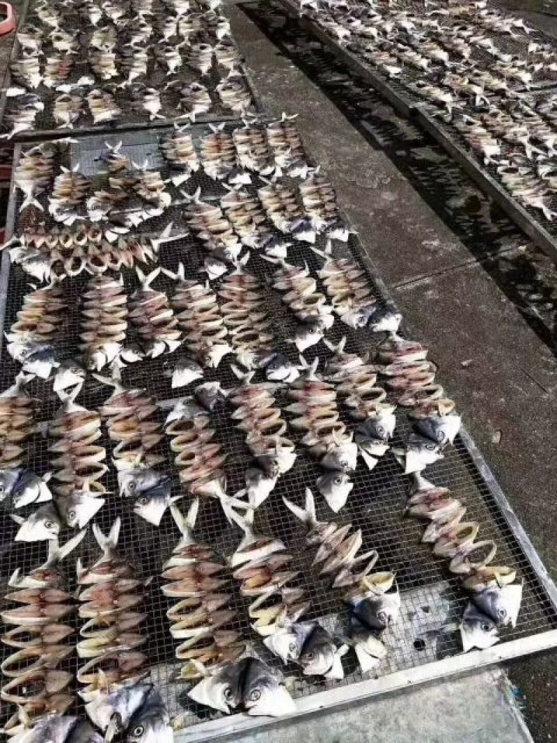 金鲳鱼食用