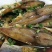 金鲳鱼食用