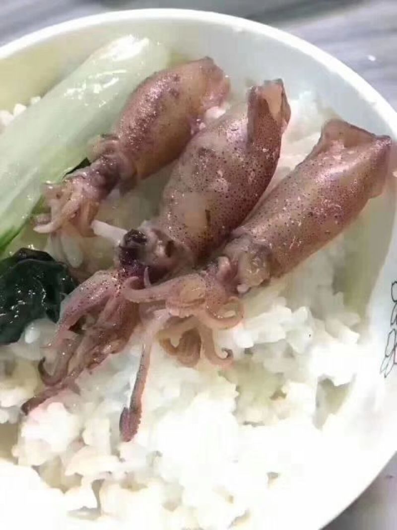 鱿鱼筒