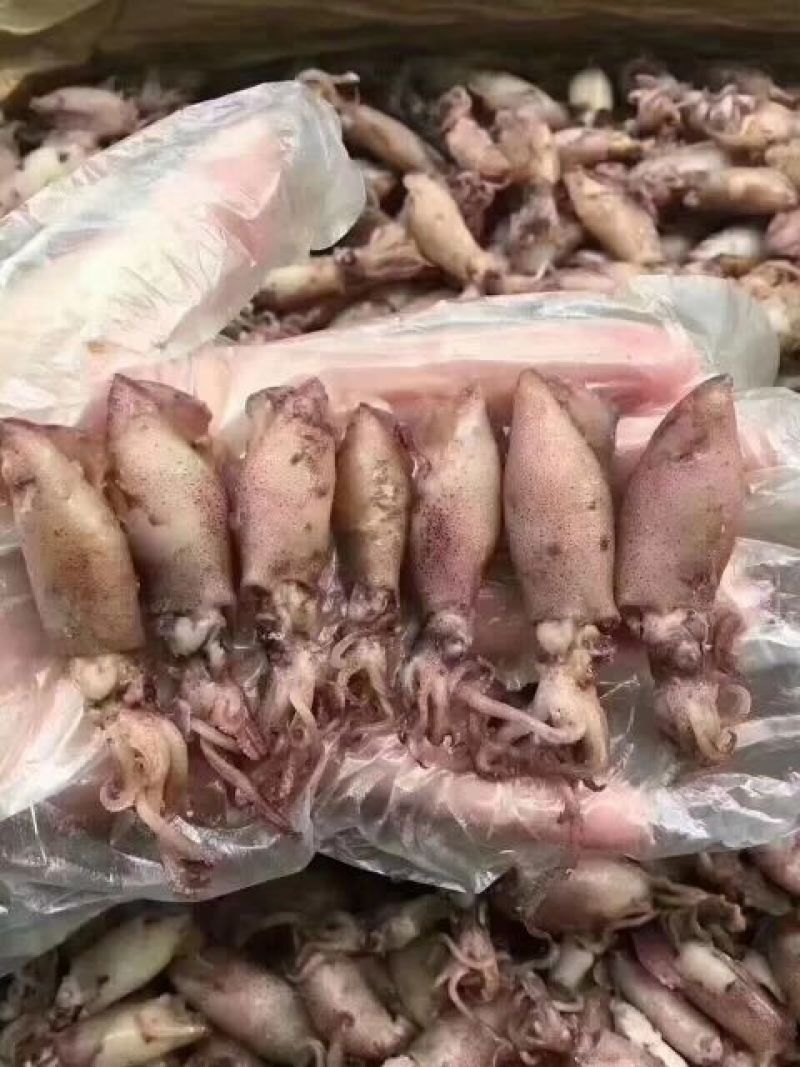 鱿鱼筒