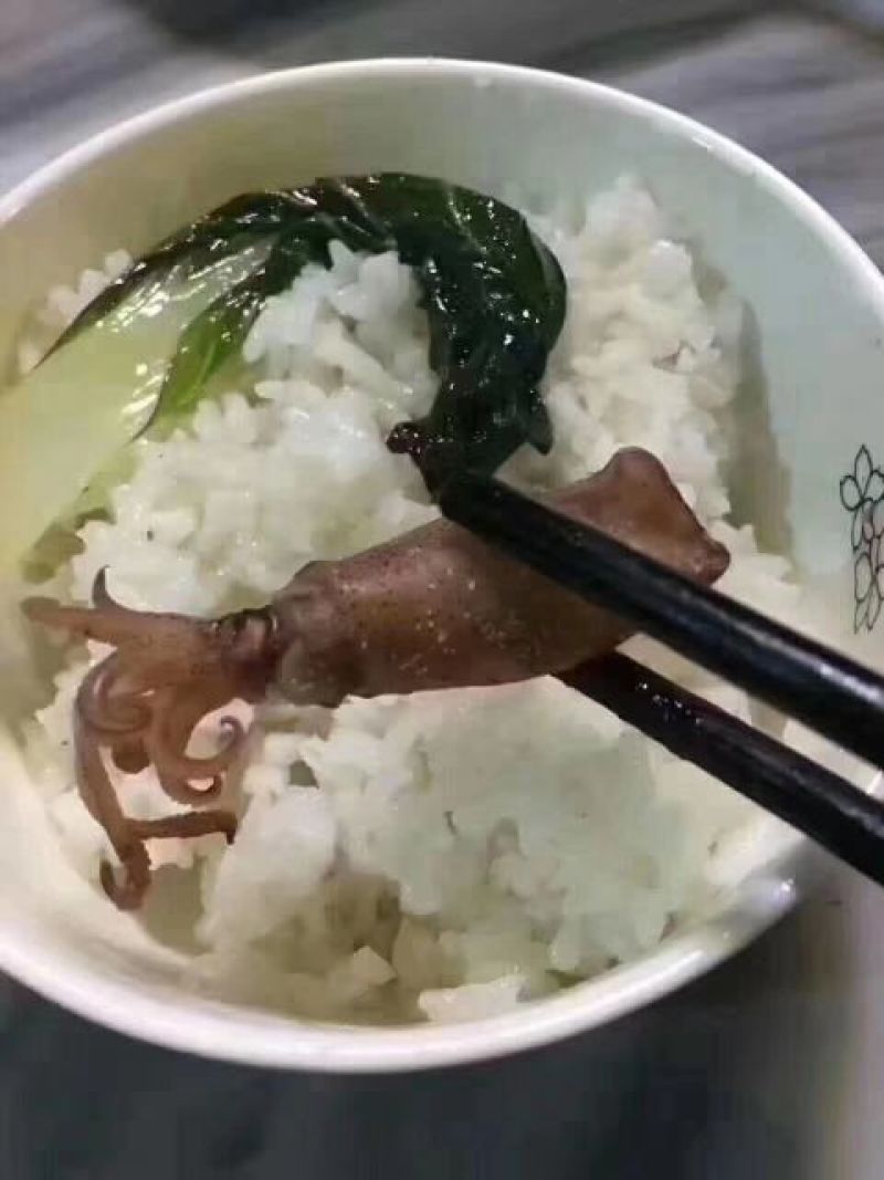 鱿鱼筒