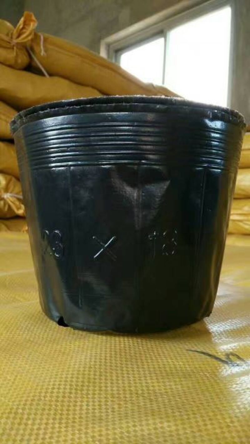 黑色营养杯抗老营养钵塑料育苗杯柑橘苗杯育苗盆育苗袋无纺布