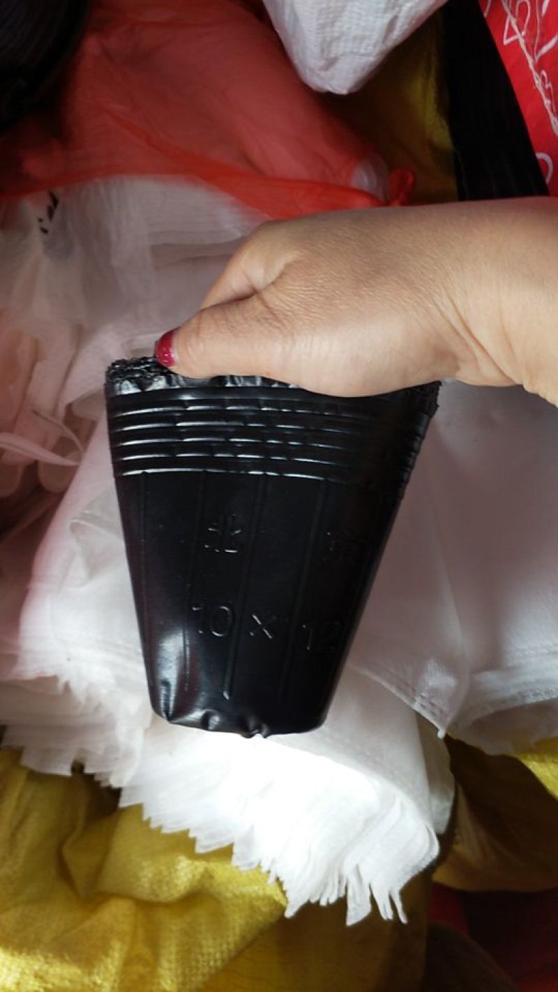 黑色营养杯抗老营养钵塑料育苗杯柑橘苗杯育苗盆育苗袋无纺布
