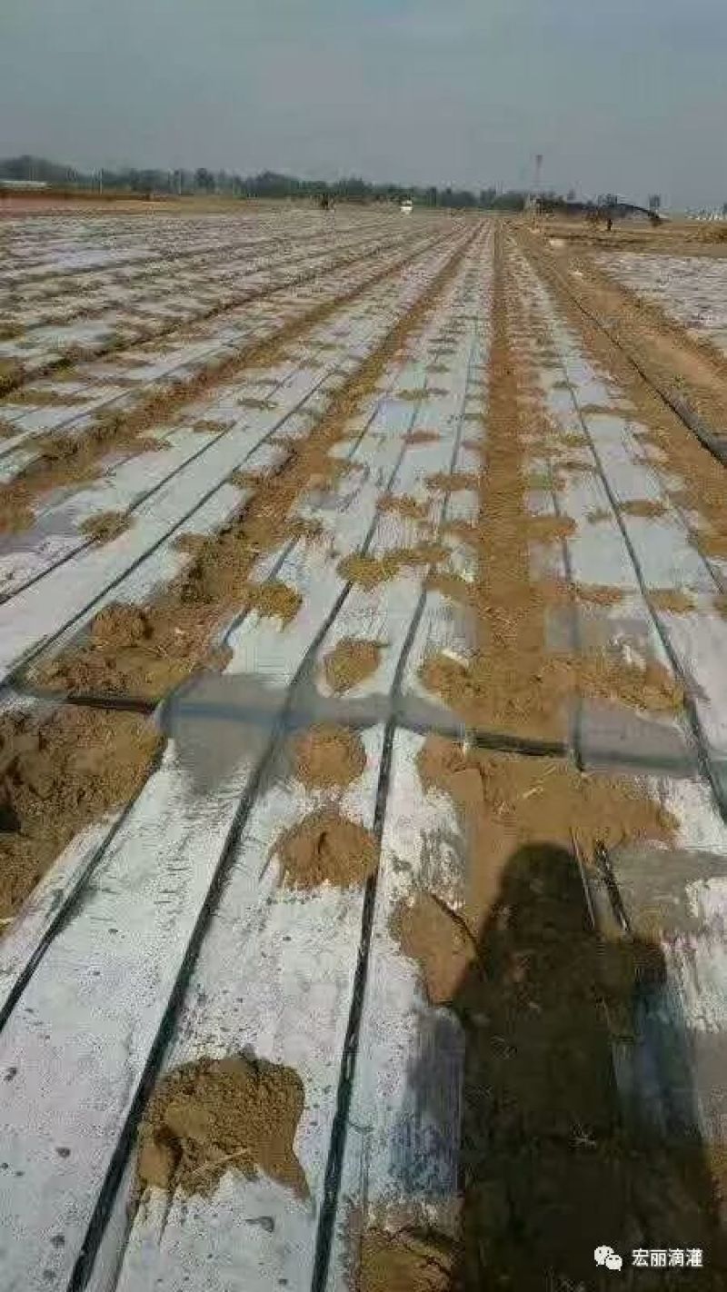 滴灌带，微喷带，过滤器及各种管件。