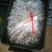 海蜇食用冰冻