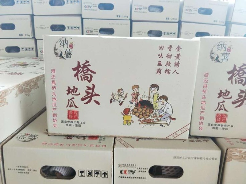 海南澄迈桥头地瓜板栗薯红薯桥头地瓜新鲜现挖现卖