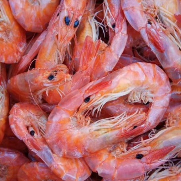 对虾干