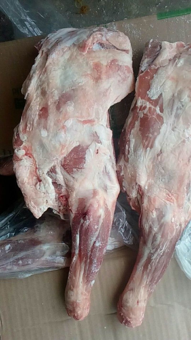 羊前腿有一部分羊系列产品欢迎质询！
