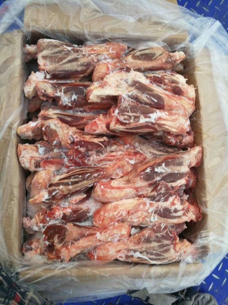 羊前腿有一部分羊系列产品欢迎质询！