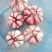大蒜4.5cm~5cm鲜蒜