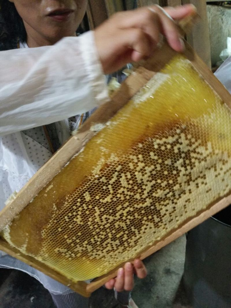 土蜂蜜1斤