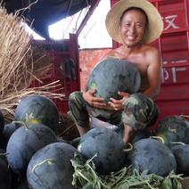 湖北省西瓜每年5月中旬大量上市，6斤打底9成熟