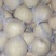 砀山梨纸袋150~200g