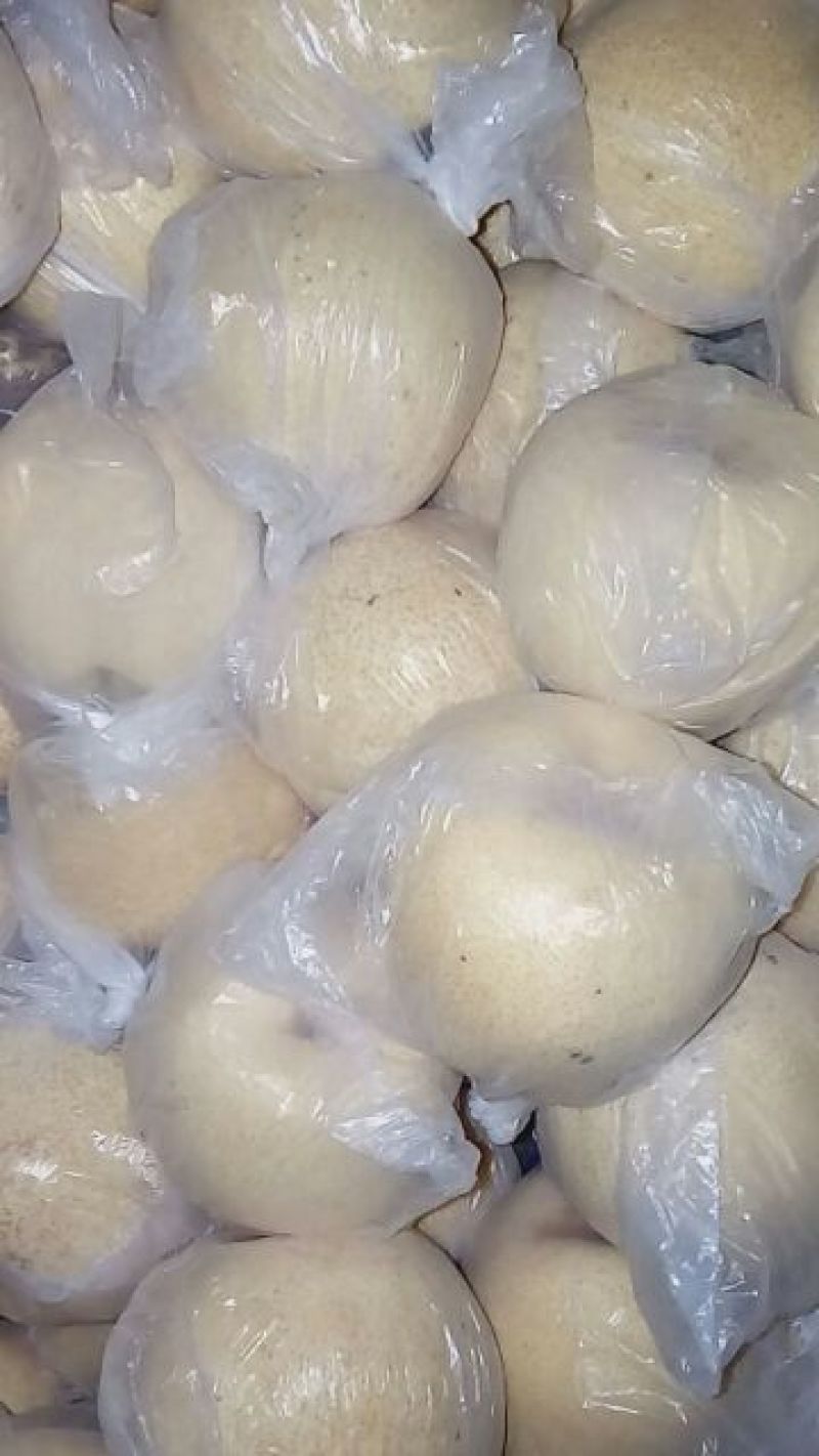 砀山梨纸袋150~200g