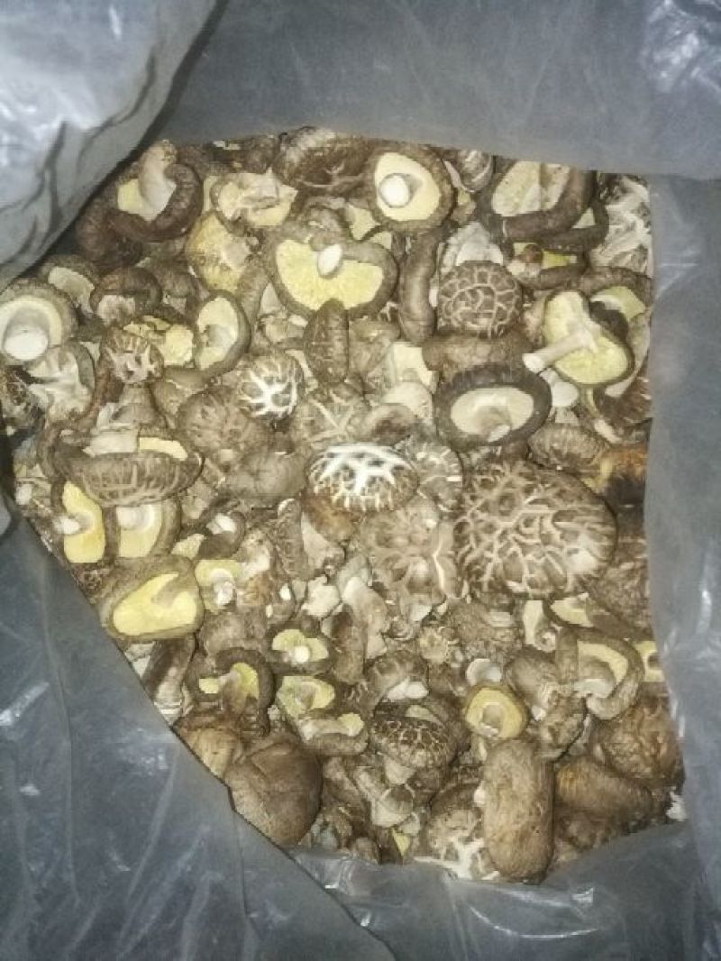 干香菇3cm以上