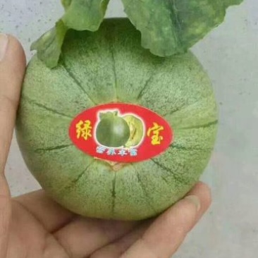 绿宝甜瓜统货0.5斤以上