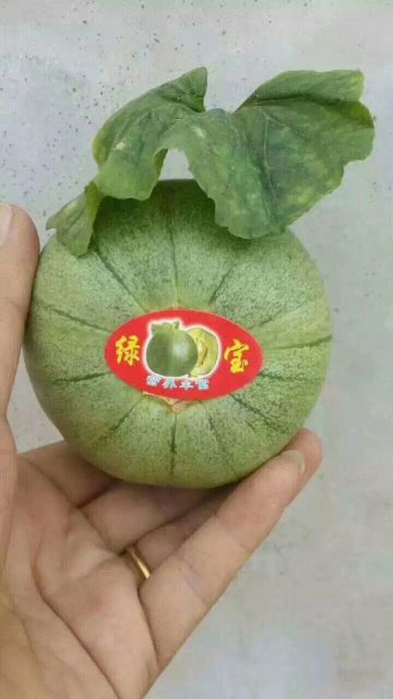 绿宝甜瓜统货0.5斤以上