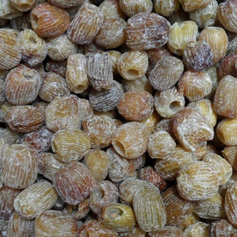 蜜枣干蜜枣，有核无核
