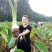 荔浦芋头供应链团购落地配送电商一件代发原产地荔浦直供