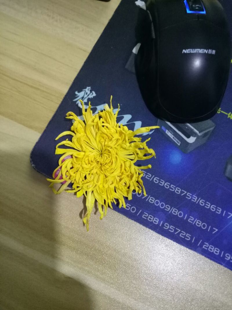 菊花茶特级