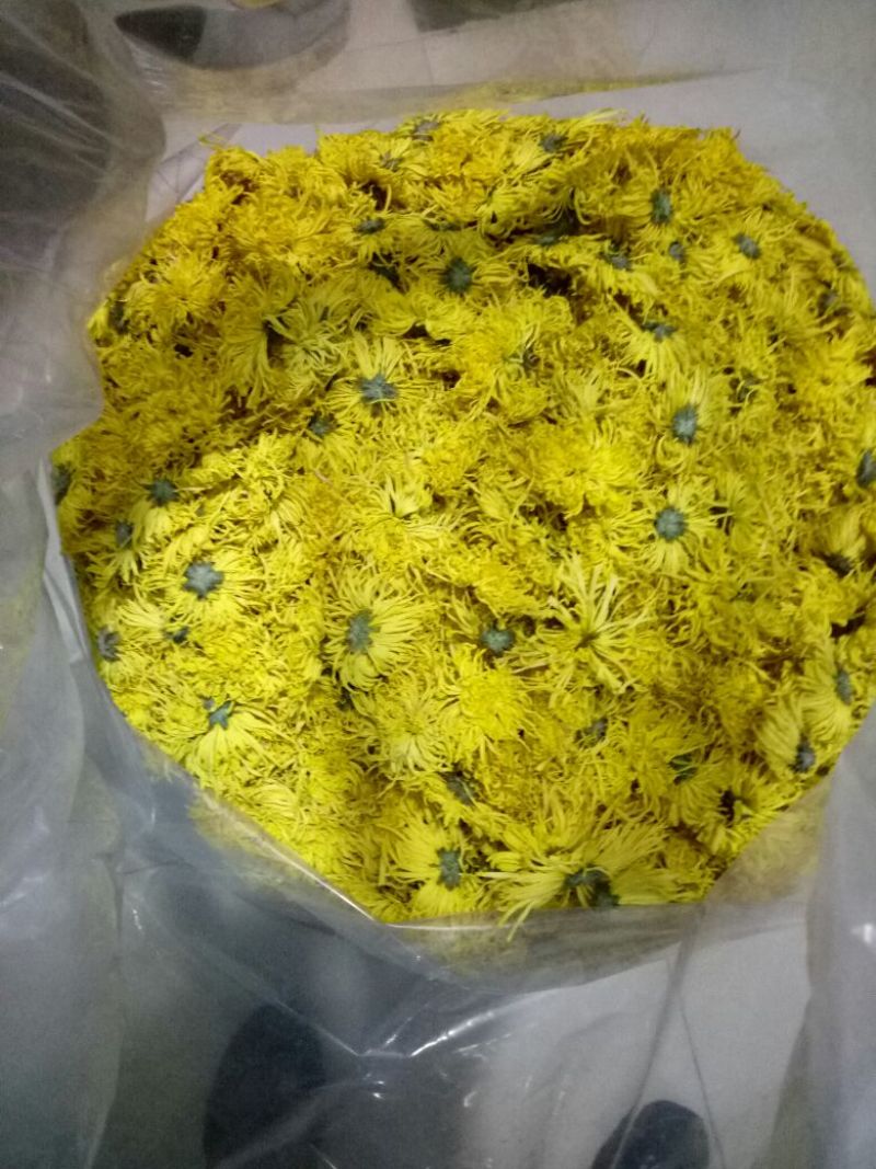 菊花茶特级