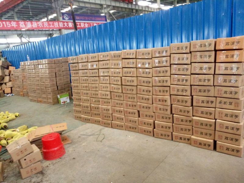 广西荔浦芋头香芋一手货源五斤包邮微商电商代发产地荔浦发
