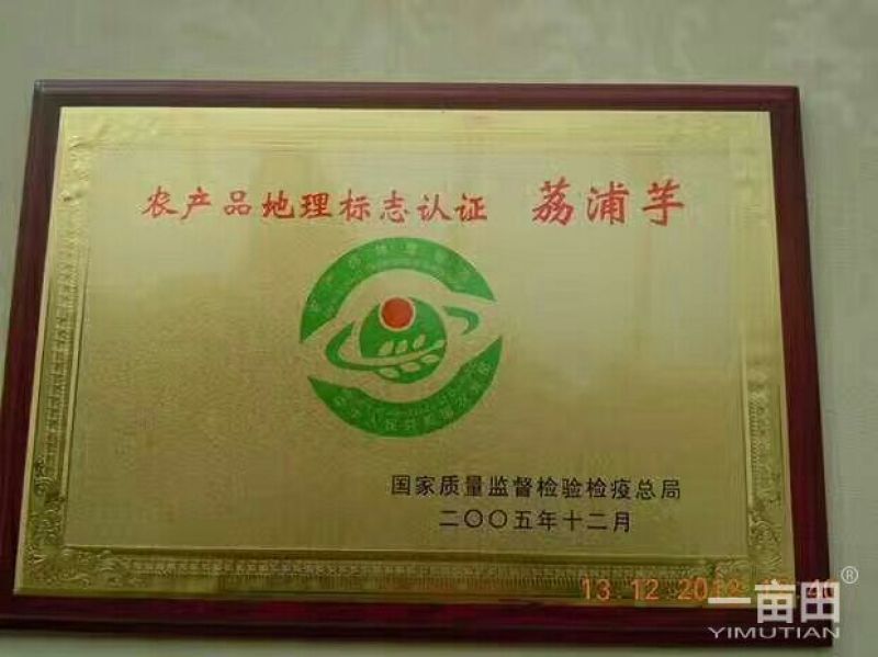 广西荔浦芋头香芋一手货源五斤包邮微商电商代发产地荔浦发
