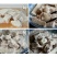 广西荔浦芋头香芋一手货源五斤包邮微商电商代发产地荔浦发