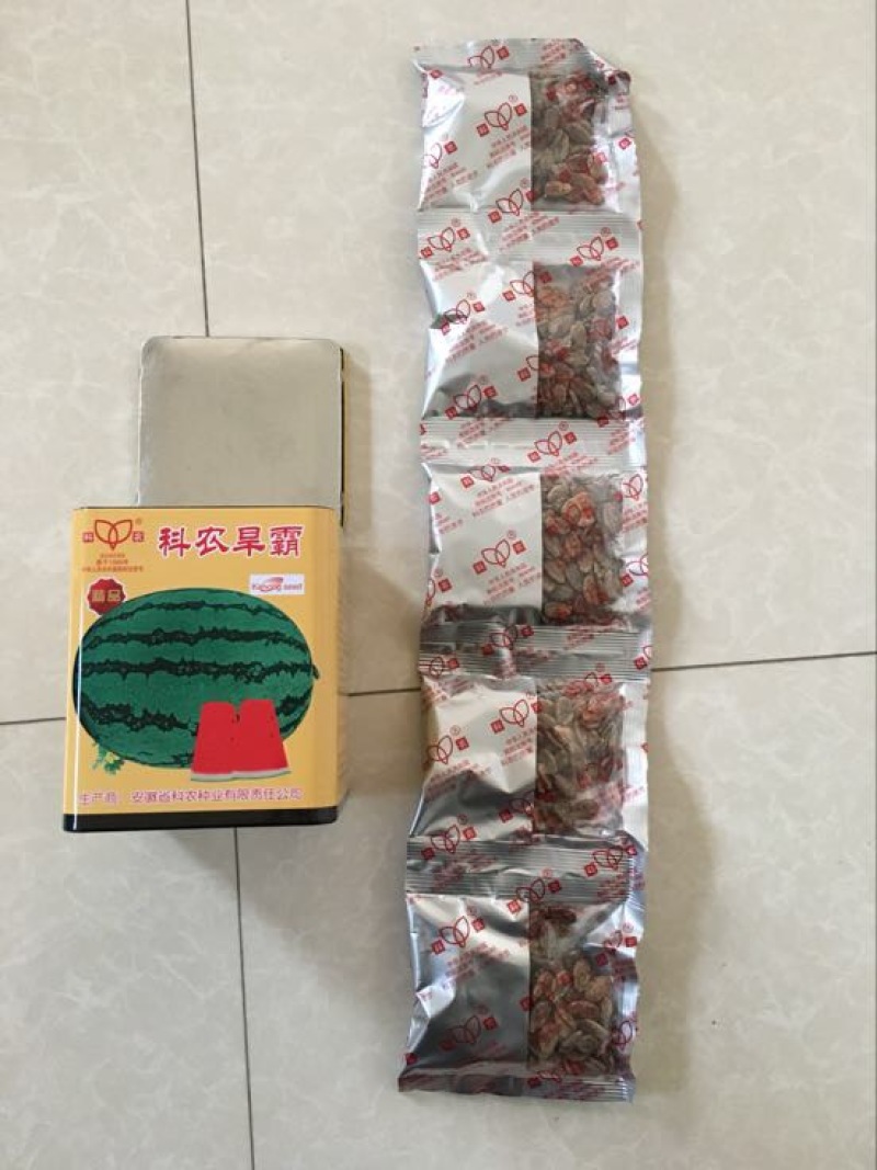 抗旱大型西瓜种子～科龙旱霸