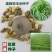 墨西哥玉米草种子货到付款五斤包邮