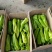 【优选】精品牛角椒15~20厘米黄微辣大量现货