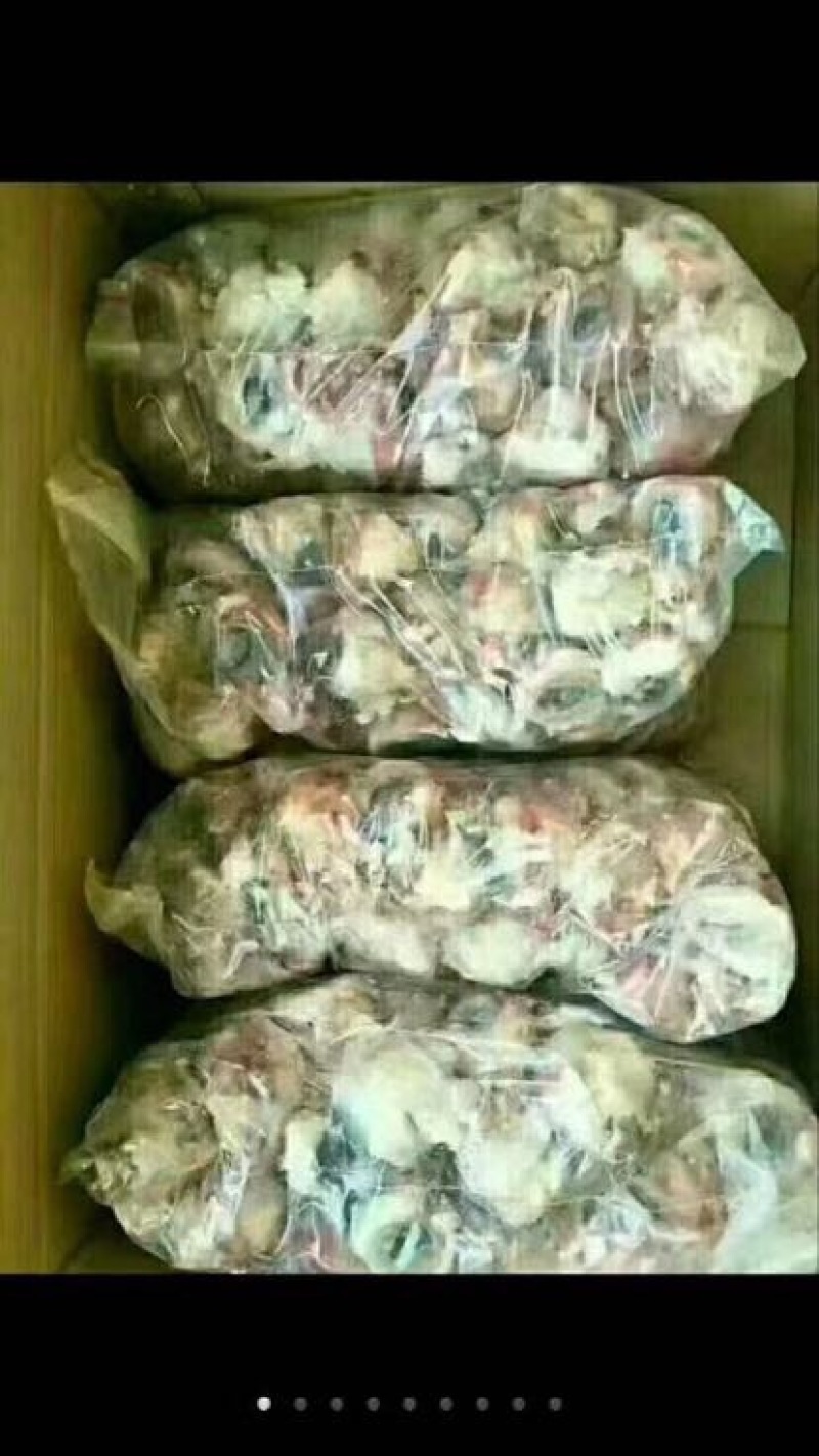 羊肝