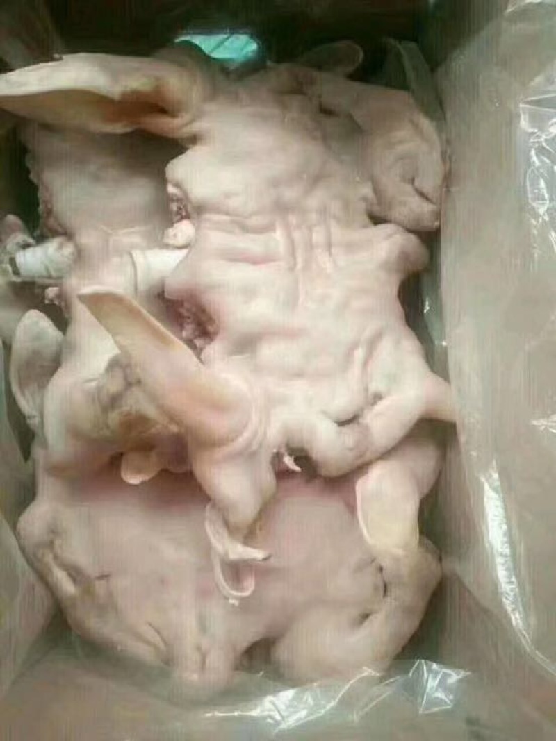 羊肝