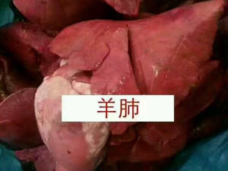 羊肝