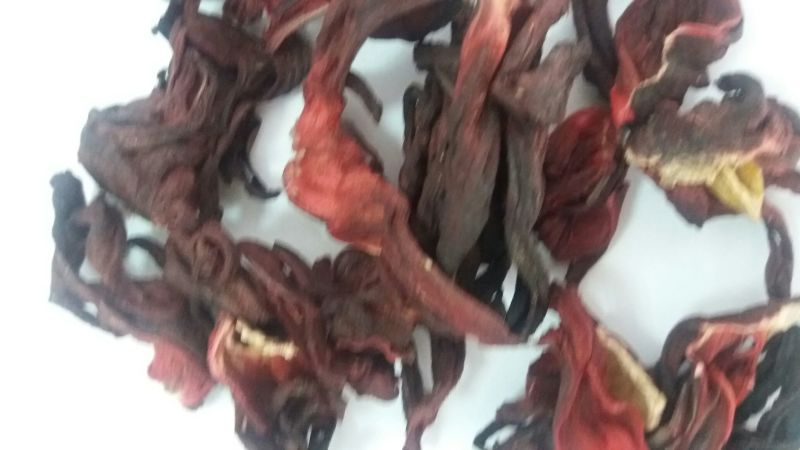 玫瑰茄玫瑰茄，洛神花