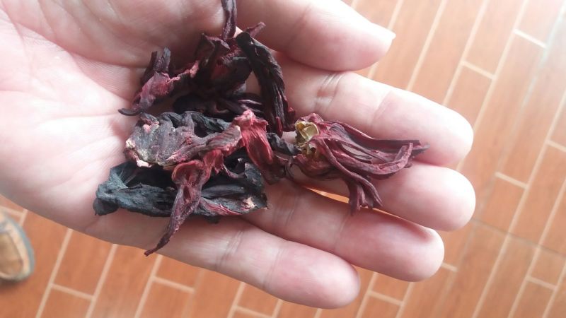 玫瑰茄玫瑰茄，洛神花