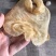 花胶赤嘴鳘鱼胶