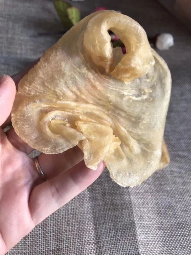 花胶赤嘴鳘鱼胶
