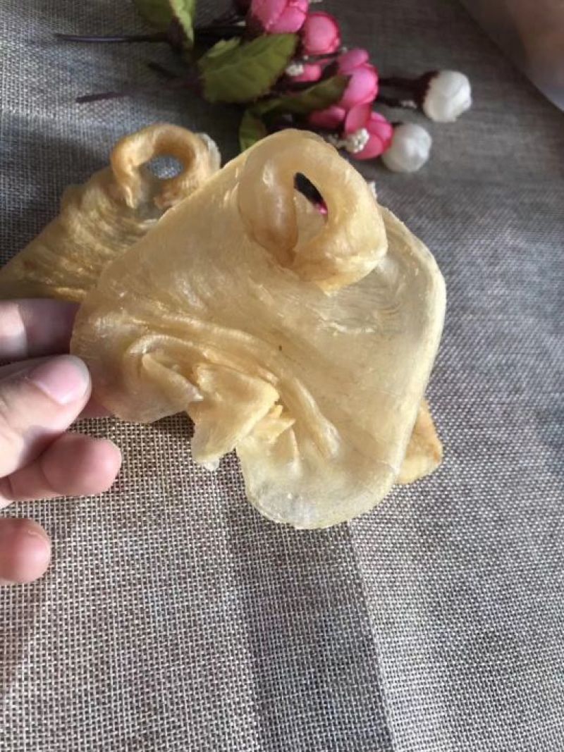 花胶赤嘴鳘鱼胶
