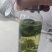 桑芽茶～～桑叶茶一瓶35元3瓶100元包邮