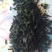 桑芽茶～～桑叶茶一瓶35元3瓶100元包邮