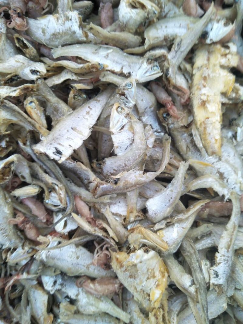 马口鱼