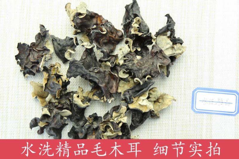 毛木耳水洗精品毛木耳，一手货源