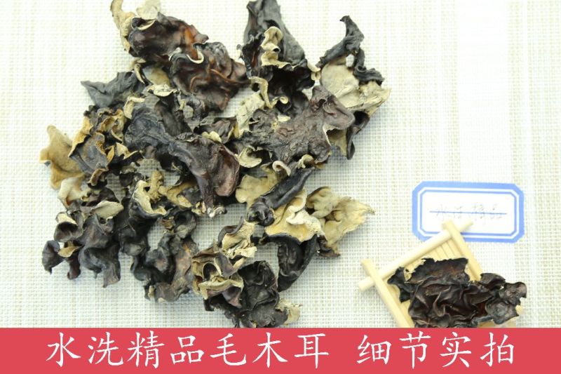 毛木耳水洗精品毛木耳，一手货源