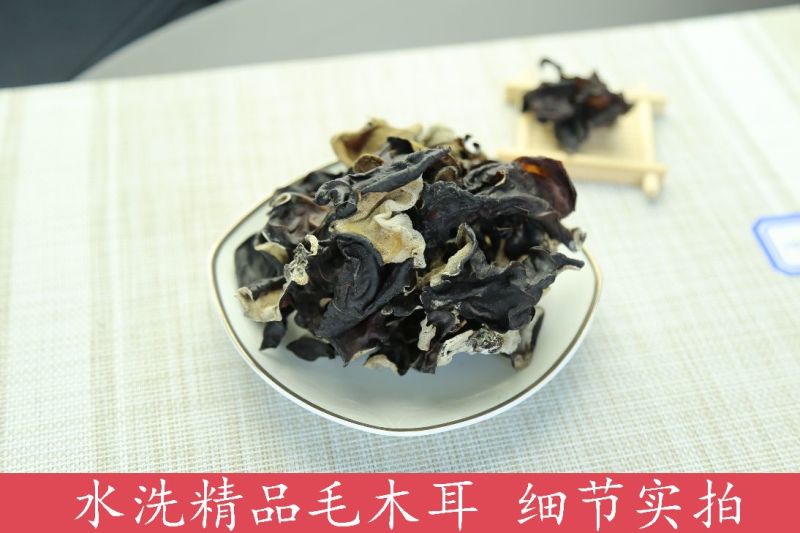 毛木耳水洗精品毛木耳，一手货源