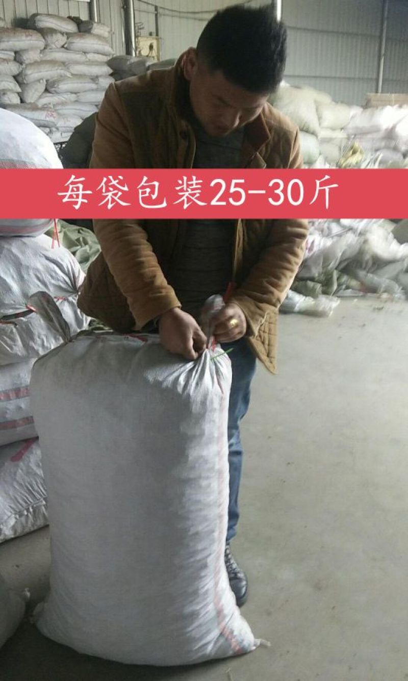 毛木耳水洗精品毛木耳，一手货源