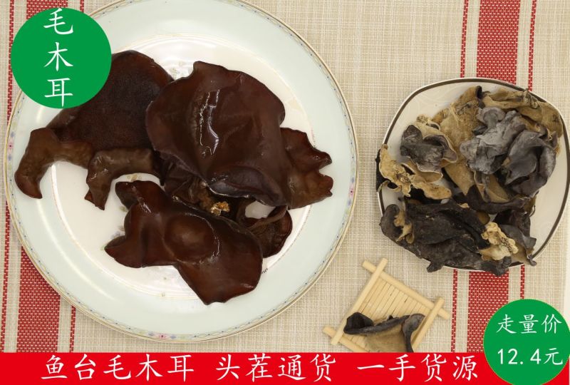 毛木耳头茬精品通货，一手货源，量大质优，泡发好