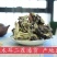 毛木耳二茬毛木耳通货，一手货源，产地直发