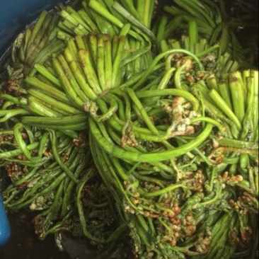 蕨菜